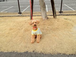c0196673_1943365.gif