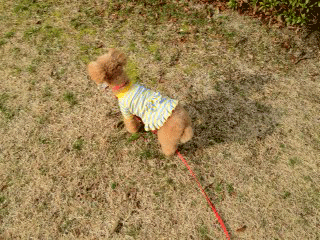 c0196673_19455068.gif
