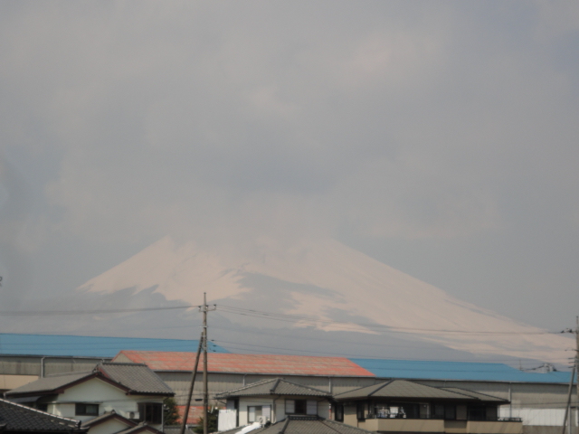 d0109373_183913100.jpg