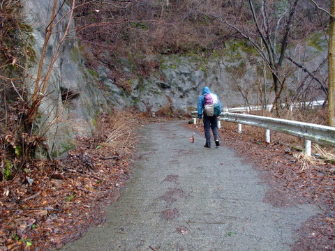 a0043982_2124038.jpg
