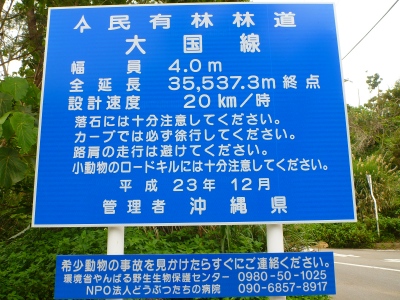 d0240983_821735.jpg