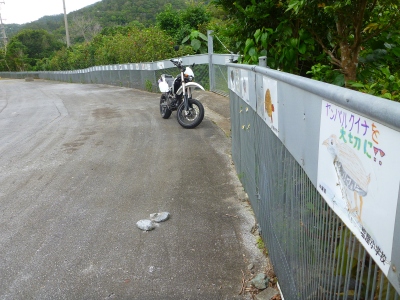 d0240983_8284819.jpg