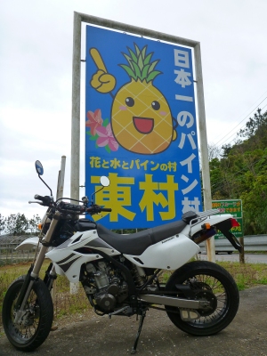 d0240983_8321727.jpg