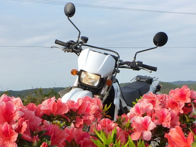 d0240983_8332218.jpg