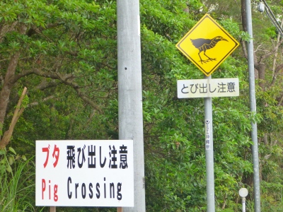d0240983_834426.jpg