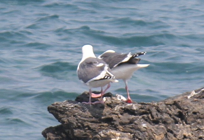 e0197884_21531754.jpg