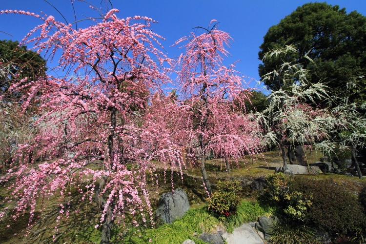 e0051888_2129163.jpg
