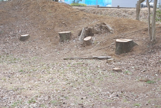 e0025300_15435517.jpg