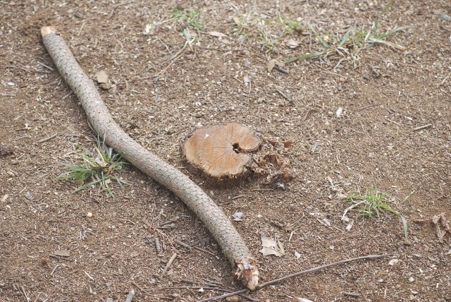 e0025300_15453692.jpg