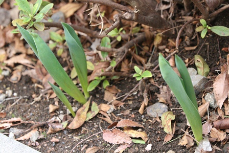 c0128303_8344322.jpg