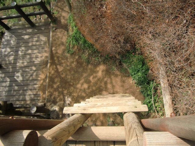 a0101404_220478.jpg
