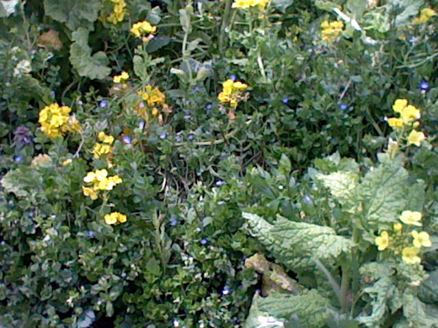 a0101404_223594.jpg