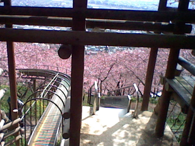a0101404_2274260.jpg