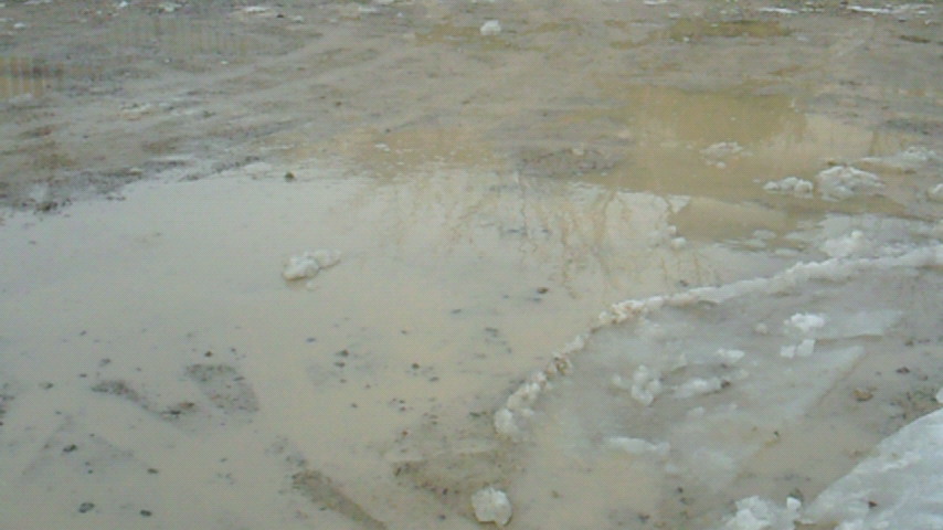 d0149105_1853989.jpg