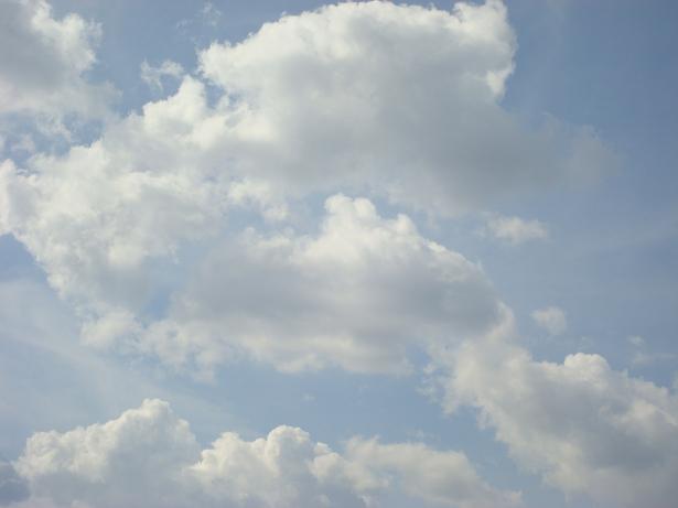 e0255908_2325397.jpg