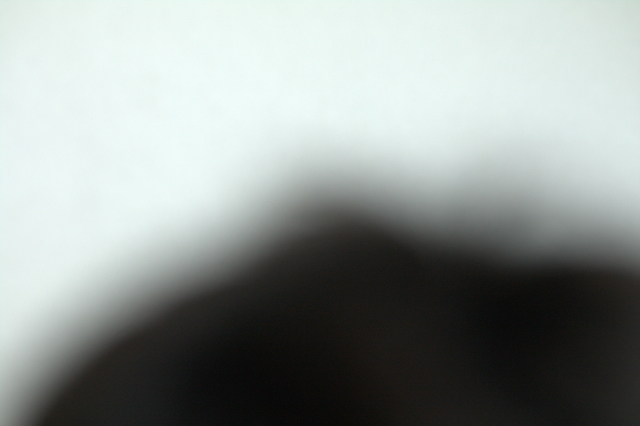 b0190911_22193668.jpg