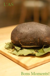 c0147521_1826990.jpg