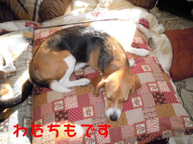 c0166622_14374917.jpg