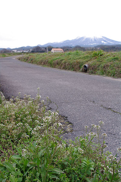 f0007926_10542351.jpg