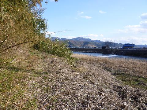 b0138430_9504373.jpg