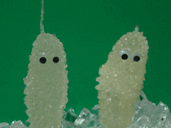 e0005548_225740100.gif