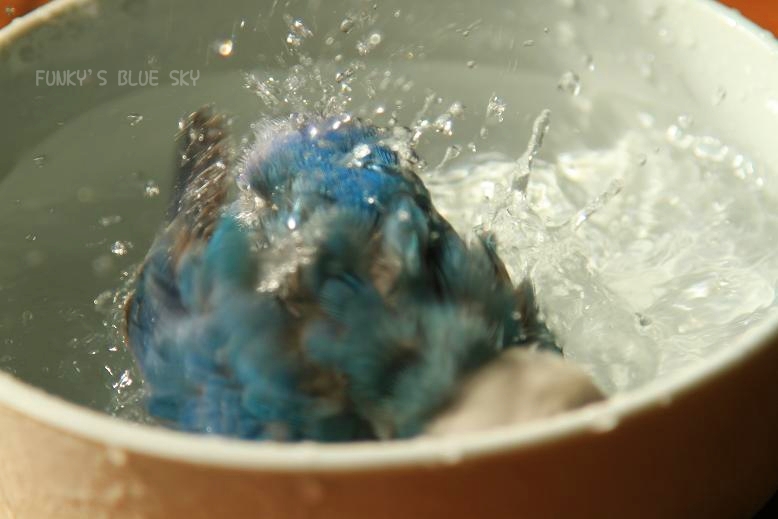 c0145250_214107.jpg