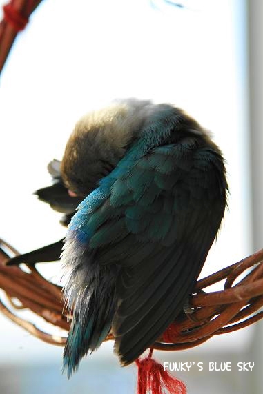 c0145250_2152846.jpg