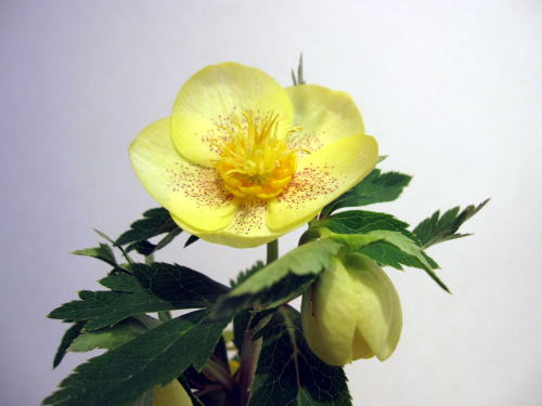 c0147952_213918.jpg