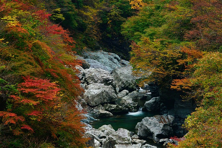 f0222161_1544149.jpg