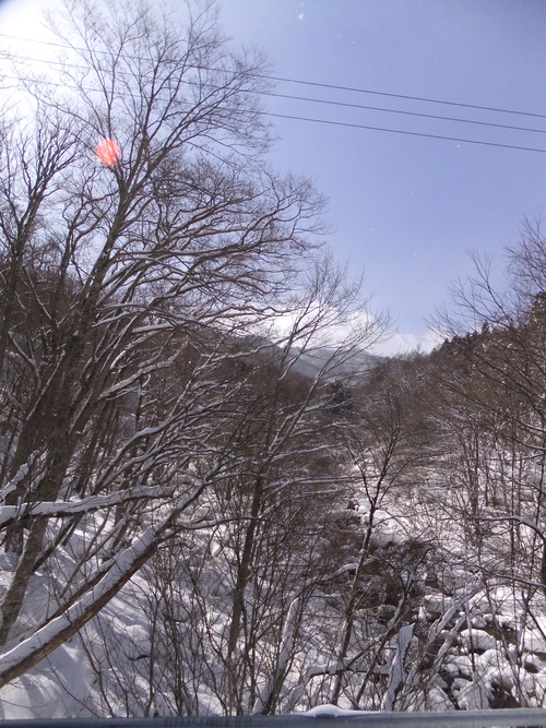 a0215163_2212920.jpg