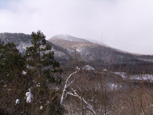 a0215163_222951.jpg