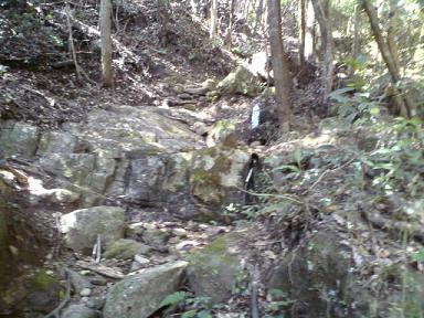 c0222471_22471840.jpg