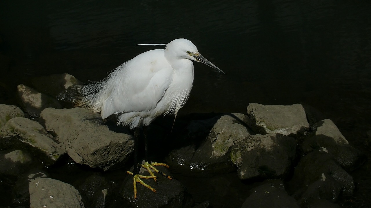 a0185081_22304921.jpg