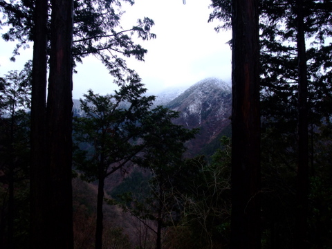 a0043982_21333957.jpg