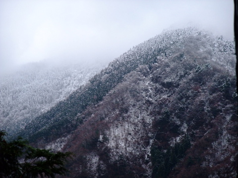 a0043982_2133497.jpg