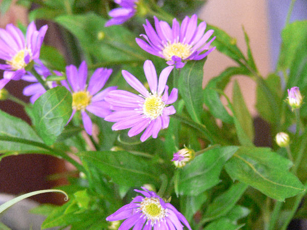 e0140986_16103613.jpg