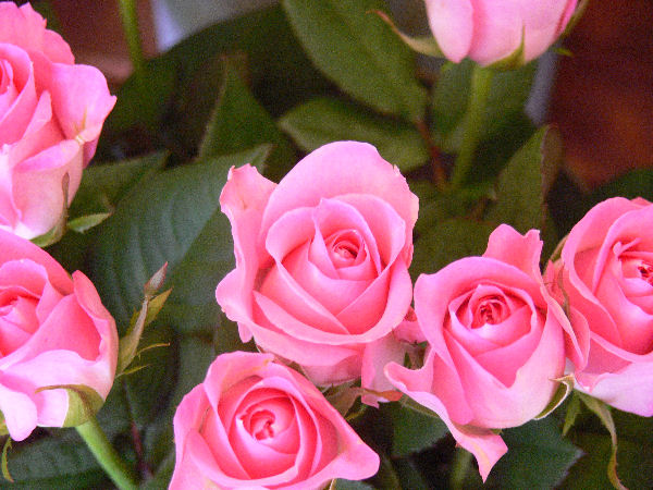 e0140986_17212356.jpg