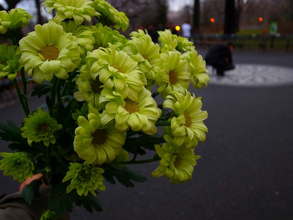 a0003089_2164651.jpg