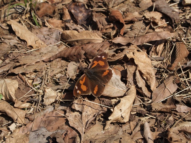 b0194593_145683.jpg