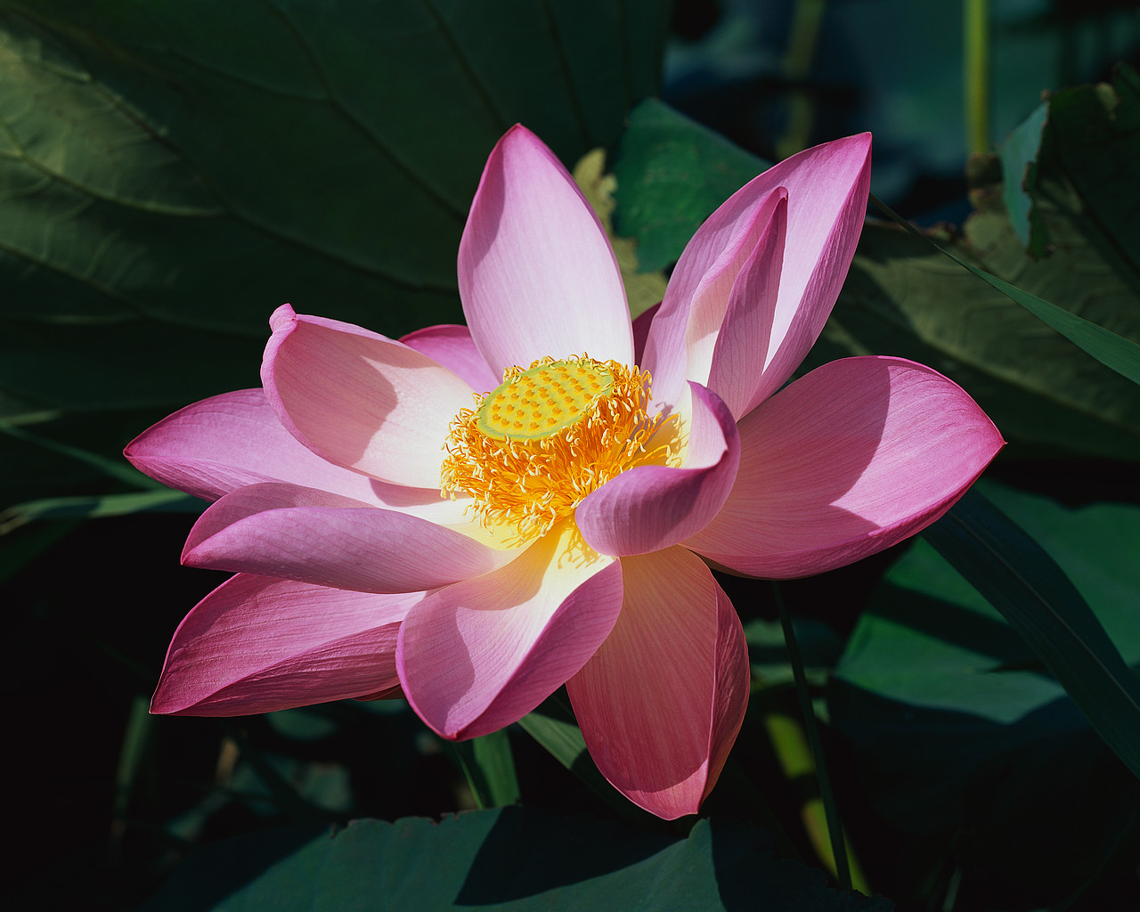 f0201297_9294152.jpg