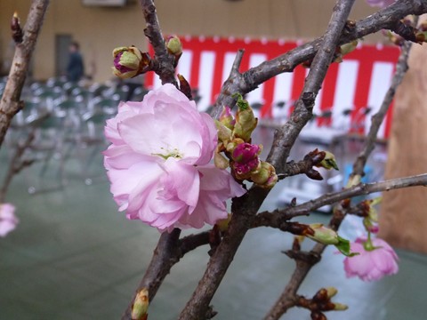 a0138198_10593054.jpg