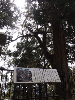 c0187298_1827923.jpg
