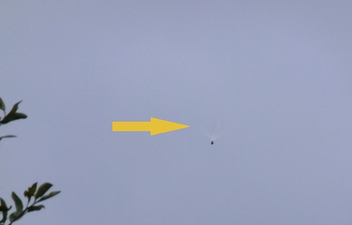 b0239909_19114410.jpg