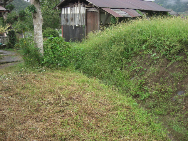d0167621_17373019.jpg