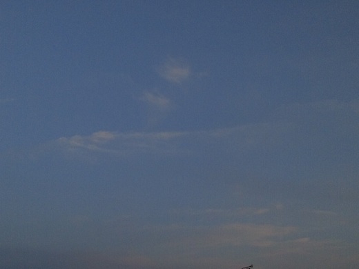 b0199924_10401530.jpg