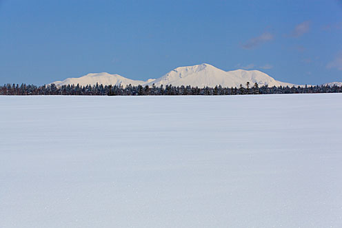 e0025030_8512070.jpg