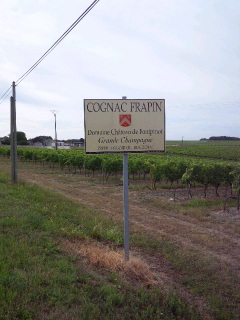 d0011635_18102555.jpg