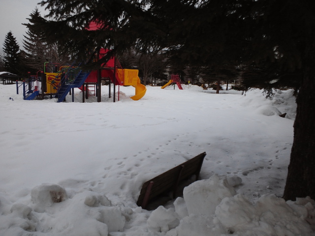 c0117239_8123260.jpg