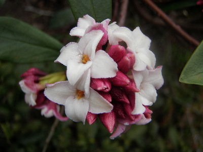 a0054240_2034167.jpg