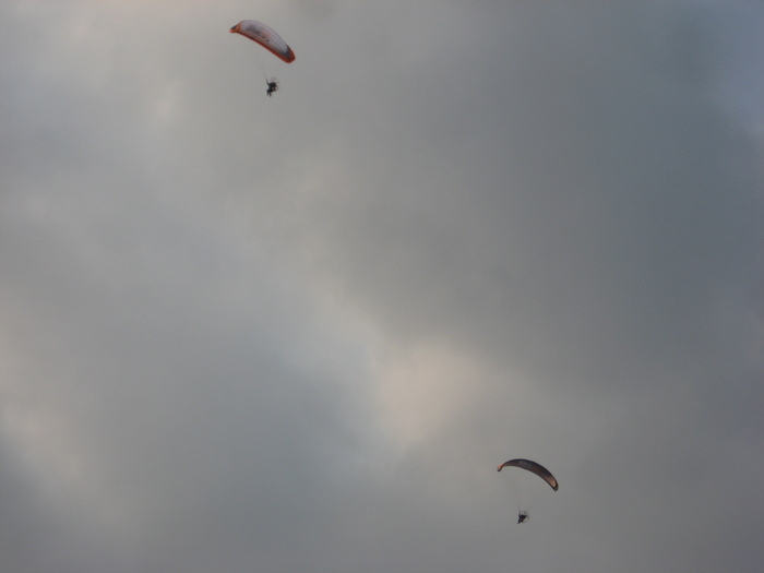 b0126649_2011529.jpg